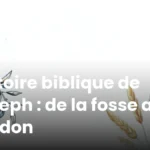 Histoire biblique de Joseph : de la fosse au pardon Histoire biblique de Joseph : de la fosse au pardon