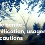 Huile bénite : signification, usages et précautions