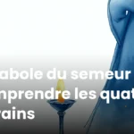 Parabole du semeur : comprendre les quatre terrains Parabole du semeur : comprendre les quatre terrains