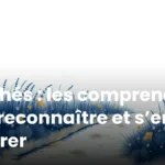 Péchés : les comprendre, les reconnaître et s’en libérer Péchés : les comprendre, les reconnaître et s’en libérer