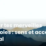 Pour tes merveilles paroles : sens et accès légal