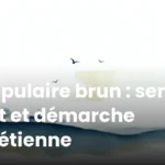 Scapulaire brun : sens, port et démarche chrétienne