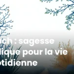 Sirach : sagesse biblique pour la vie quotidienne Sirach : sagesse biblique pour la vie quotidienne