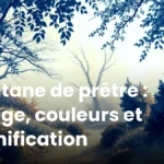 Soutane de prêtre : usage, couleurs et signification Soutane de prêtre : usage, couleurs et signification